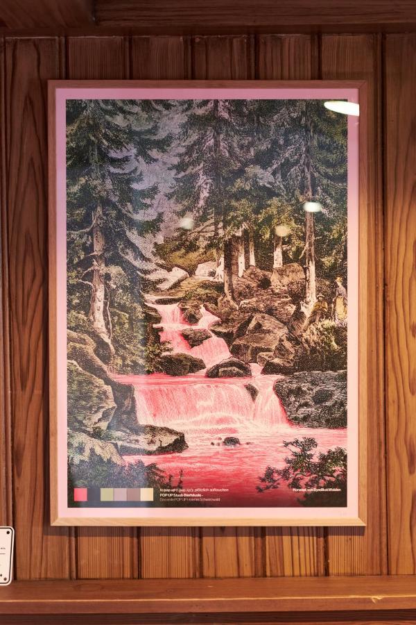 Pop-Up Stuub Feldberg Hotel Feldberg  Ngoại thất bức ảnh