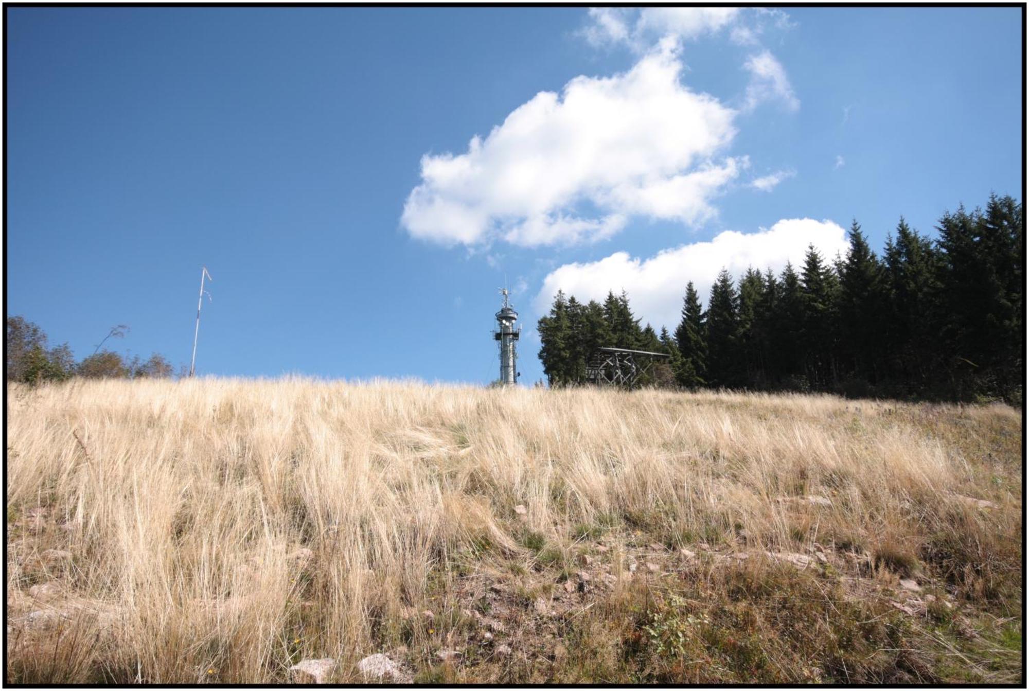Pop-Up Stuub Feldberg Hotel Feldberg  Ngoại thất bức ảnh