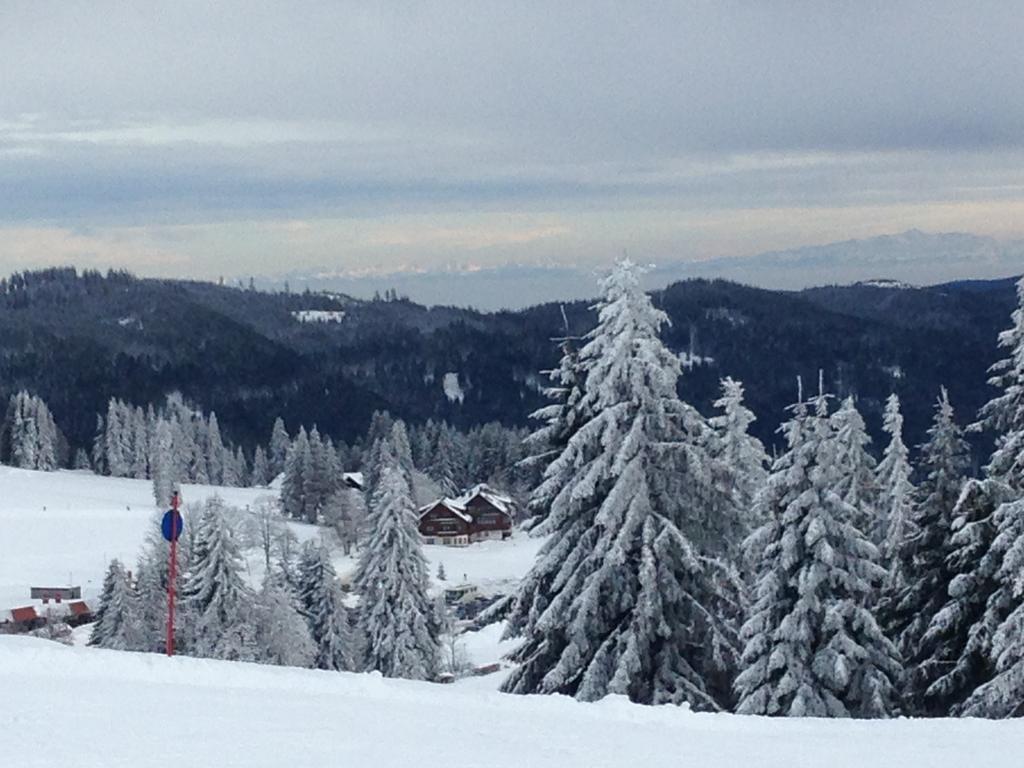 Pop-Up Stuub Feldberg Hotel Feldberg  Ngoại thất bức ảnh